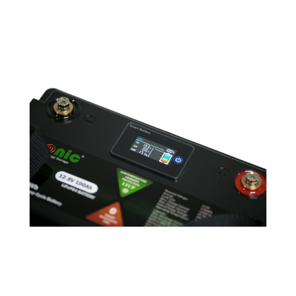 Batería LiFePo4 de 12,8 V y 100 Ah